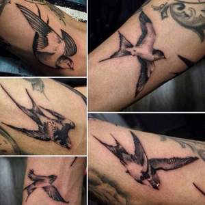 Silhouette of swallows tattoo done by Kristian.  For all inquires check us out at http://goldenirontattoostudio.com/